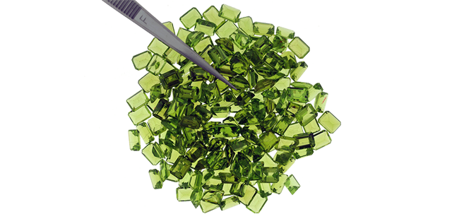 History of David Anthony